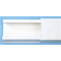 Legrand White Mini Trunking, W16 mm x D32mm, L2.1m, PVC