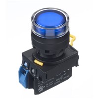 Idec, YW Illuminated Blue Push Button Complete Unit, NO, 22mm Momentary Screw