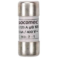 Socomec, 500mA Cartridge Fuse, 10 x 38mm
