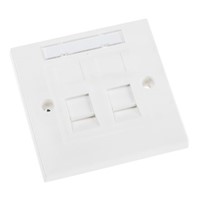 Double RJ45 Cat5e UTP 1 Gang Wallplate