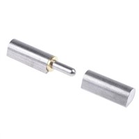 Pinet Raw Stainless Steel Hinge Weld-on, 80mm x 16mm