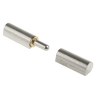 Pinet Raw Stainless Steel Hinge Weld-on, 100mm x 20mm