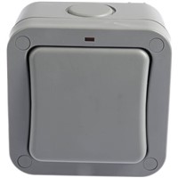 Grey 20 A Surface Mount Rocker Light Switch Grey, 2 Way Screwed Matte, 1 Gang BS Standard, 250 V 91mm LED IP66