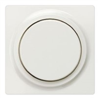 Siemens Cover Plate for use with 55 x 55 mm Rotary Button