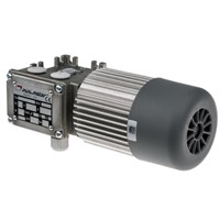 Mini Motor Induction AC Geared Motor, 3 Phase, Reversible, 230 V ac, 400 V ac, 40 rpm, 74 W