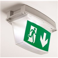 Crompton Lighting Emergency Light Replacement for use with Emergency Lighting