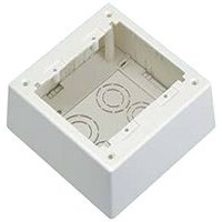 Panduit PVC Back Box, Surface Mount, 2 Gangs, 132.6 x 132.6 x 70.1mm