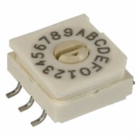 Coded Rotary DIP Switch Flush Actuator
