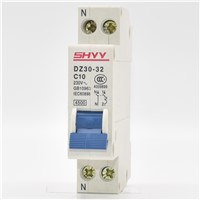 DZ30(DPN)-32 1P+N DZ30-10A 4.5KA Breaking Capacity MCB by SHYY