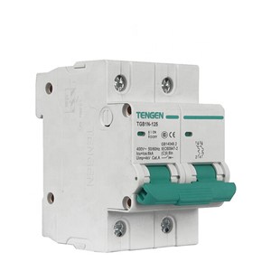 ECVV Miniature Circuit Breaker TGB1N-125 2PTGB1N-1252P-D-125A 6KA TENGEN MCB