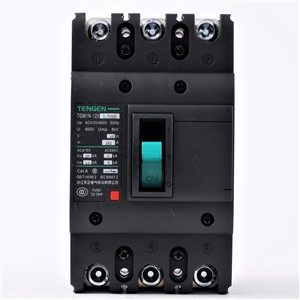 ECVV Moulded Case Circuit Breaker Frame 125 A, TGM1N-125L/3200-40A Breaking Capacity Class L, 3-Pole, Single Magnetic Tripping, MCCB
